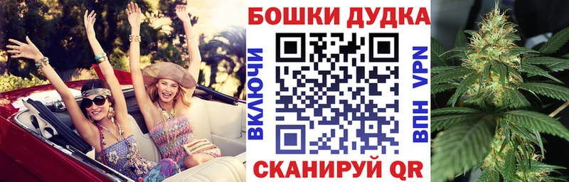 ГАШ Шали