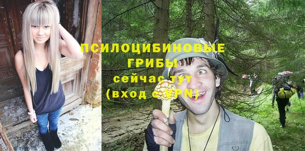 спайс Абаза